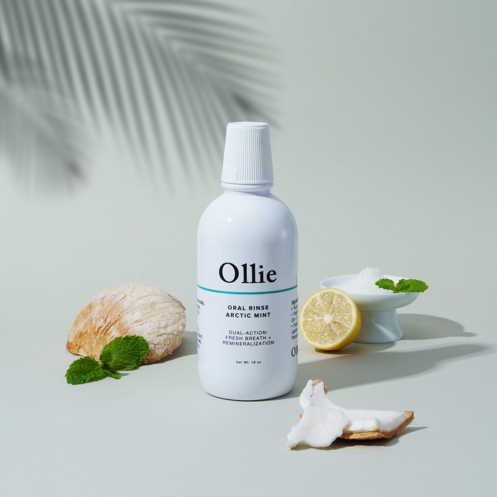 Arctic Mint Mouthwash