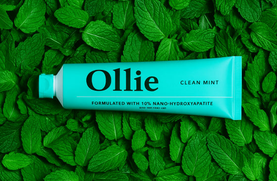 Fresh Flavor, Gentle Whitening